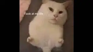 I swallowed shampoo (1 hour loop)