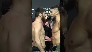 Magomed Ankalaev Destroys Johnny Walker