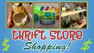 THRIFT SHOPPING! (For Hamster Supplies) PT. 1