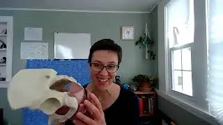 Interview with Pelvic Floor Expert, Alyce Adams (The Kegel Queen)