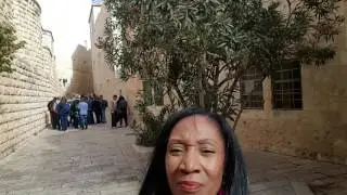 The toll of the Angelus bells, Dormition Abbey