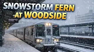 Train Rides during Snowstorm Fern