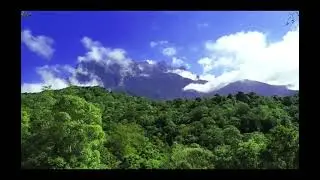 Sounds of nature and you experience magnificent relaxation.