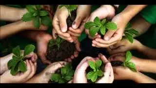 RW MUSIC - Protect Nature, prod. RW Music, /Official music video/