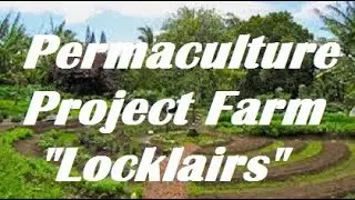 #Polycultures and #Guilds Zone 8 #FoodForest examples at Locklairs