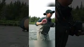 Grizzly bear charges Kraken mascot during video shoot in Alaska