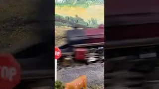 Model train at speed