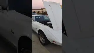 1976 Corvette Stingray C3 L48 @Corvette-Dan  #corvette #stingray #shorts #c3 #car