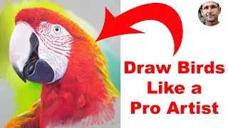 Pastel Pencil lesson - Stunning Parrot Drawing - Learn from Pro Artist Jason Morgan