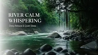 Serene Forest Ambience with Peaceful Stream Sounds for Sleep Meditation Stress Relief and Calm Focus