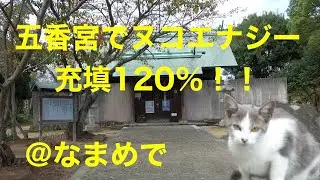 岡山・牛窓〜五香宮でヌコエナジー充填120