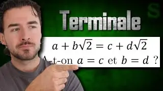Raisonnement par l'absurde, nombre irrationnel, fraction, raisonnement, racine carrée