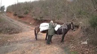 “Me vdek nuk ka kush të na varrosë”, prek me fjalët i moshuari ne Mat