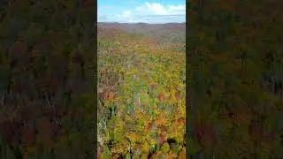 TERRAIN | RUE DES RAPIDES DU NORD, ENTRELACS J0T 2E0