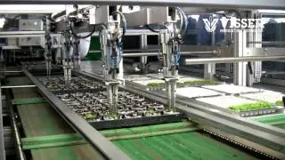 Visser Horti Systems - PC 12 Transplanting line from ViVi trays to Paperpots - Frisk Fruktergard