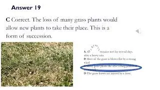Quiz Question 19 Which natural event would be most likely to cause succession in a grassy field?