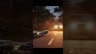 Mahindra Thar Shocks Everyone | Giant Python Crossing Road in Jungle!