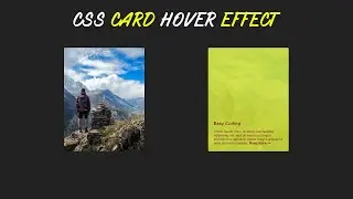 CARD HOVER EFFECT | HTML & CSS