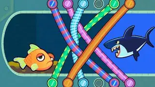 save the fish / pull the pin updated all levels #save fish game pull the pin android/ios/mobile game
