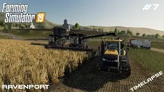 Harvesting 130 acres | Timelapse on Ravenport | Farming Simulator 19 | Episode 7