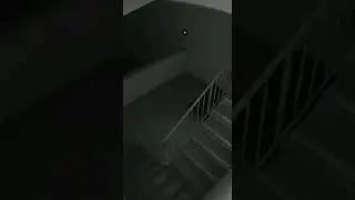 Apartment Stairwell Light Turns On Without Movement | CCTV