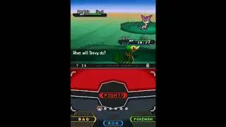 【RSE】戦闘! 野生のポケモン【BW2アレンジ】
