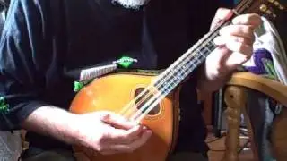 Sobell Mandolin: Sergeant Early's Dream