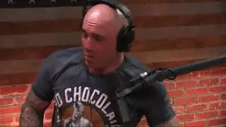 Joe Rogan - MMA Judging is Disgraceful!