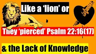 The Crucifixion Psalm, Psalms 22:17 (16) is it 'like a lion'  or 'they pierced?' Rabbi Singer Rebuke