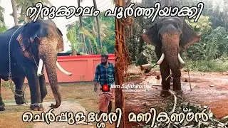 നീരുക്കാലം പൂര്‍ത്തിയാക്കി | cherpulassery manikandan