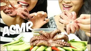 ASMR Octopus *SAVAGE* (EXTREME EATING SOUND) No Talking | SAS-ASMR