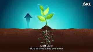 Unlock your crop's full potential with BIOZ&reg; biostimulants & enhanced nutrient fertilizers