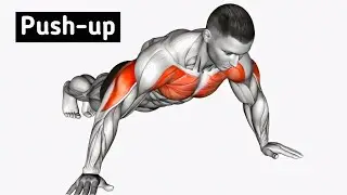 Chest workout no equipment | Push-up workout at home | Push up variations
