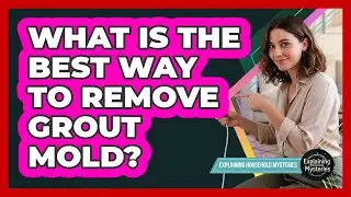 What Is The Best Way To Remove Grout Mold?