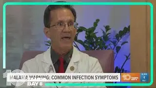 Malaria in Sarasota: Doctor explains how infections begin after mosquito bite