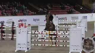 9-y-old Accolade, mare by Chacco Blue, 145 Flyinge