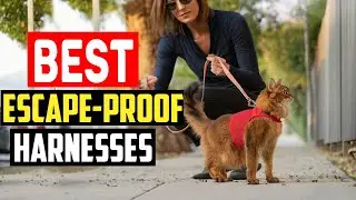 ✅Top 5 Best Escape Proof Harnesses for Houdini Dogs in 2024