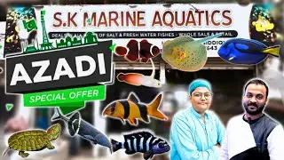 Azadi Special Offer🐟🐠 | S.K Marine Aquatics Big Sale | Exotic Fish Collection 2025 lalukhet Karachi 
