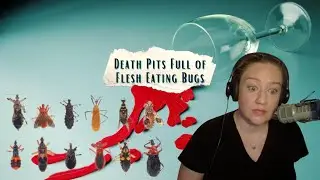 #BugFacts | Wine & Crime Podcast
