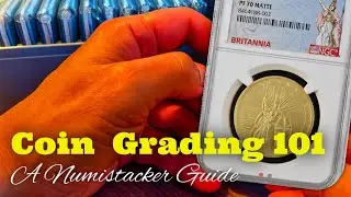 A Non AI Pure Numistacker Guide to Grading  my full NGC PCGS 101 for 2025