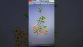 Digitizer jr software  can create any design