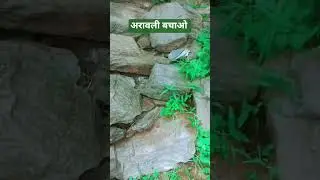 #savearavalihills