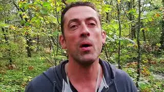 Champignons : les conseils d'un mycologue en P&eacute;rigord