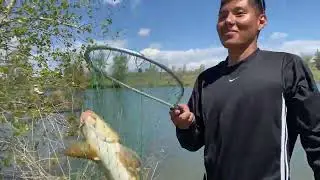 This Is The Best Combo | Fly Fishing and Corn
