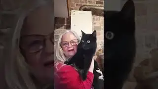 Menopauza si terapia de substitutie hormonala noutati!⚠️