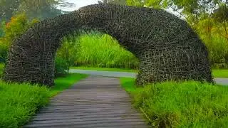 Kranji Marshes - Singapore