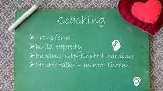 Support Functions of a Mentor