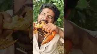 Big size crabe Cooking and eating village style