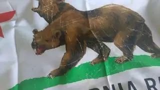 Fallout crate (AFTERMATH) unboxing