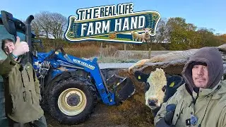It's Getting Cold! | The Real Life Farm Hand Blog